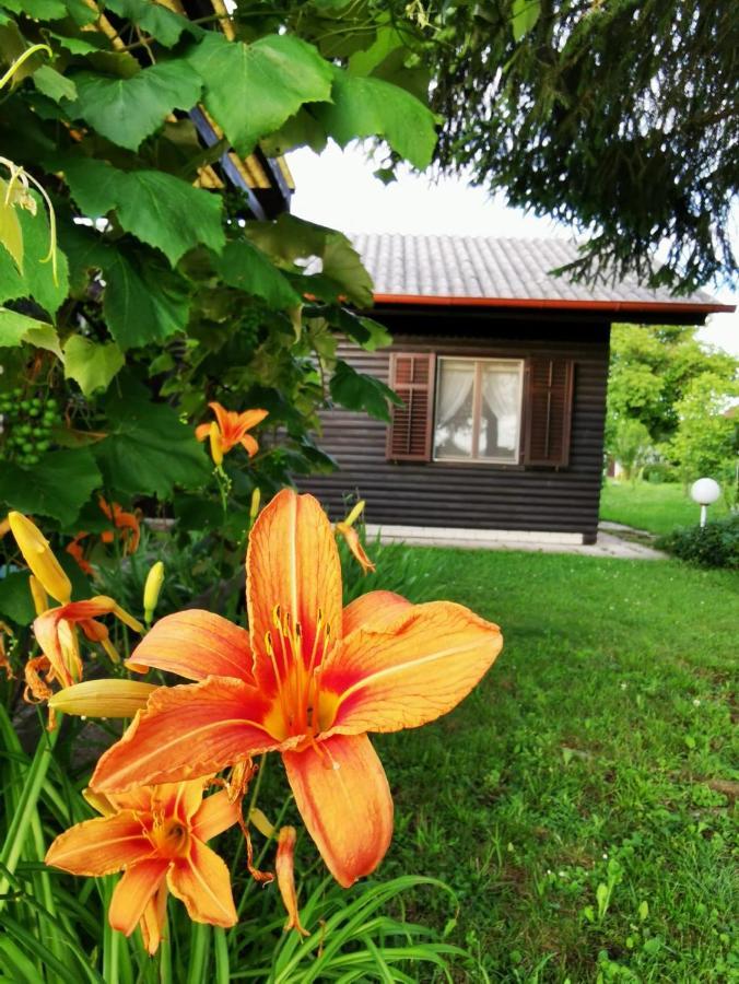 Merikotka - A Cozy Wooden Cottage, Slovenia Braslovce Exterior foto